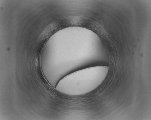 X0000067850746200604130919