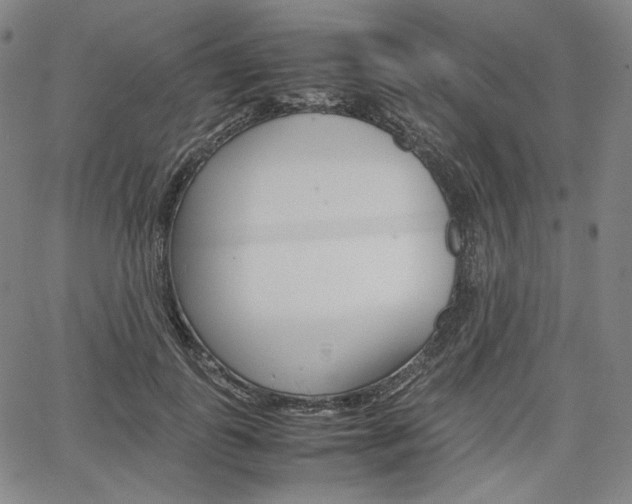 X0000067850747200604130919