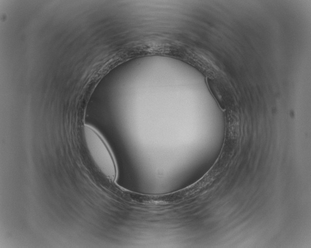X0000067850748200604130919