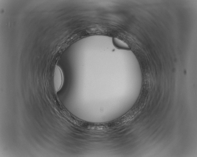 X0000067850751200604130919