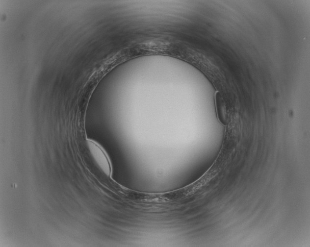X0000067850752200604130919