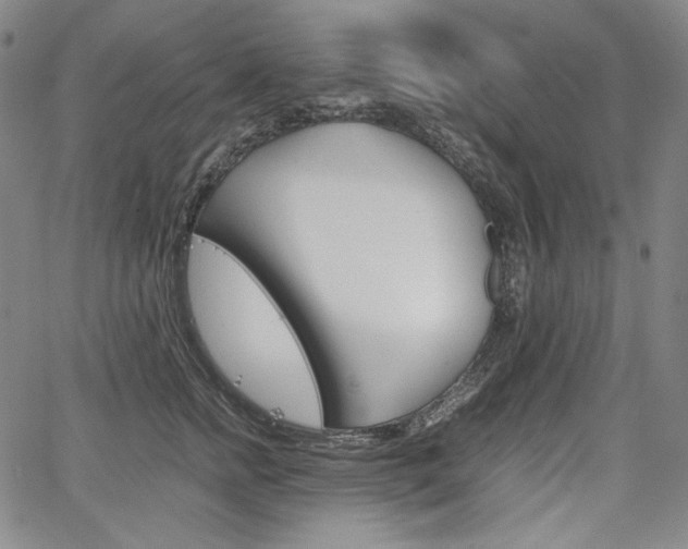 X0000067850758200604130919
