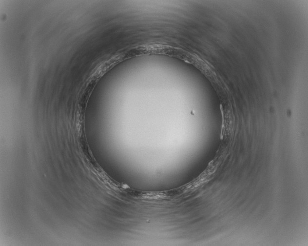 X0000067850762200604130919
