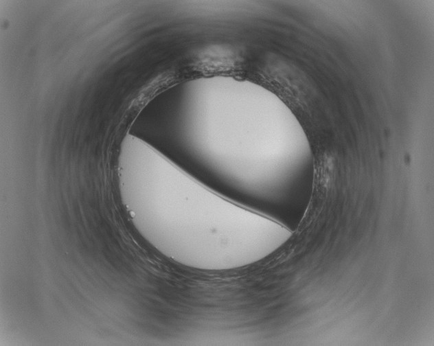 X0000067850763200604130919