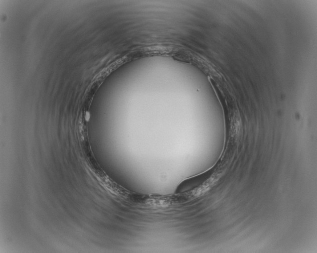 X0000067850764200604130919