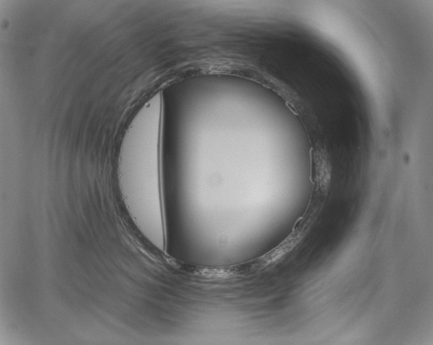 X0000067850766200604130919