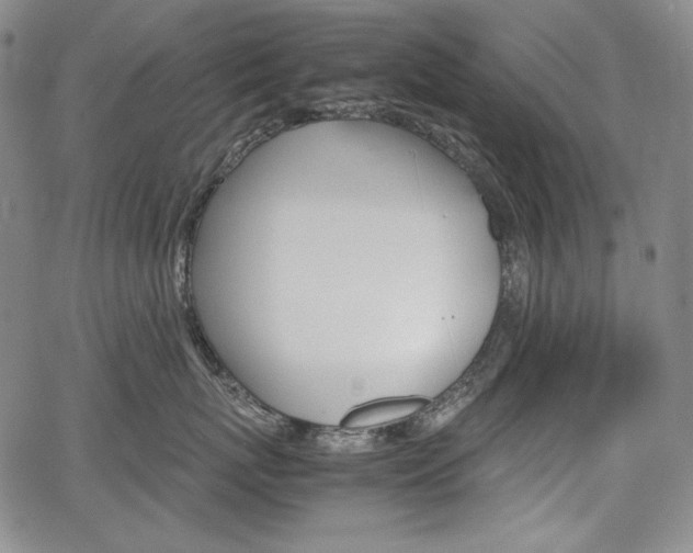 X0000067850767200604130919