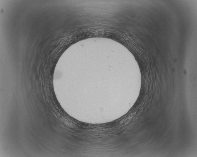X0000067850769200604130918