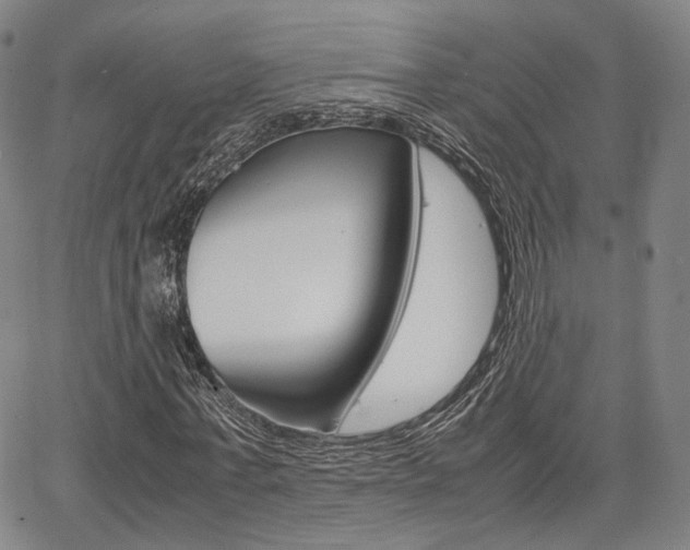 X0000067850771200604130918