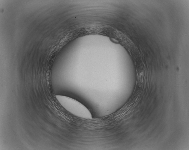 X0000067850772200604130918