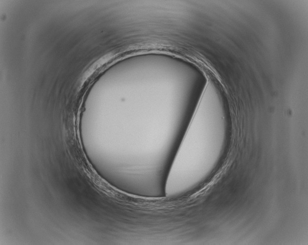 X0000067850781200604130918