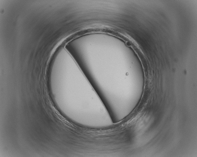 X0000067850783200604130918