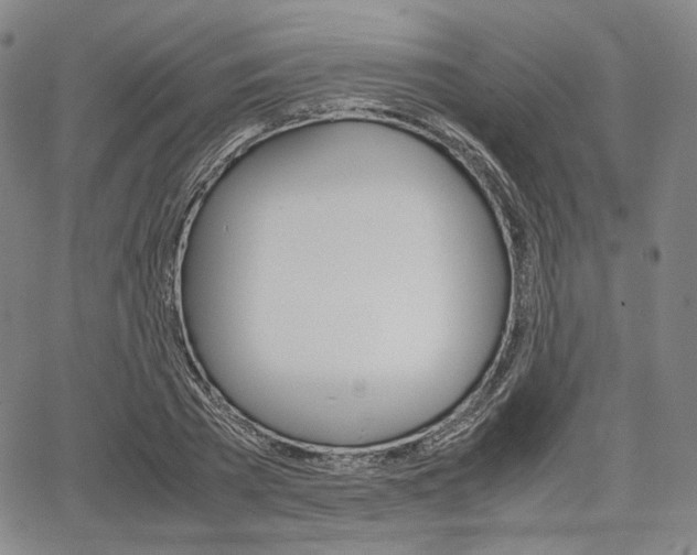 X0000067850785200604130918