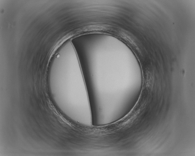 X0000067850786200604130918