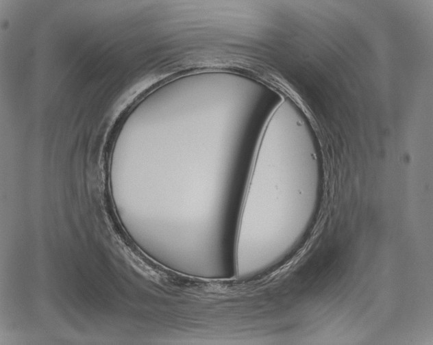X0000067850787200604130918