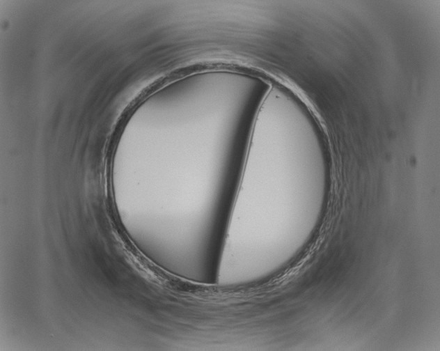 X0000067850791200604130918