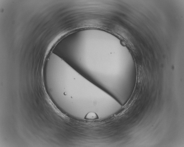 X0000067850796200604130918