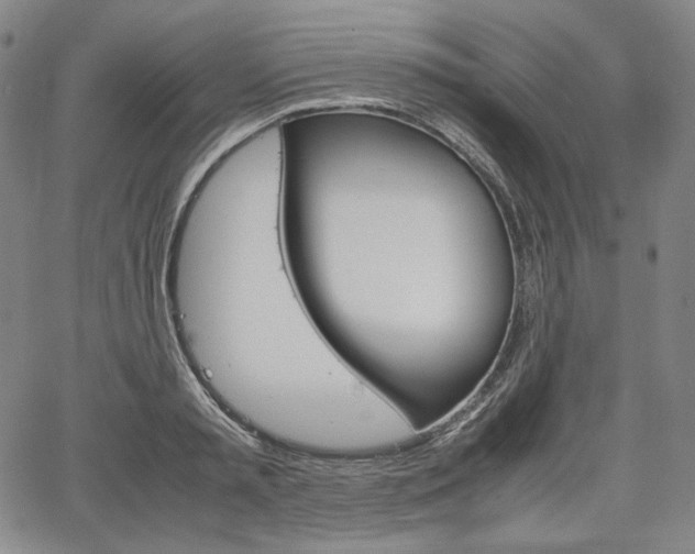 X0000067850797200604130918