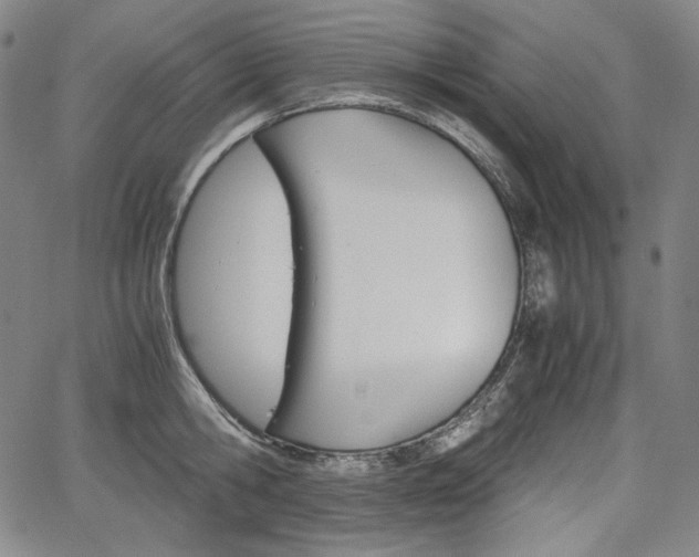 X0000067850806200604130918