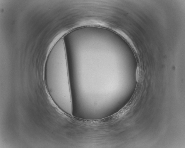 X0000067850815200604130918