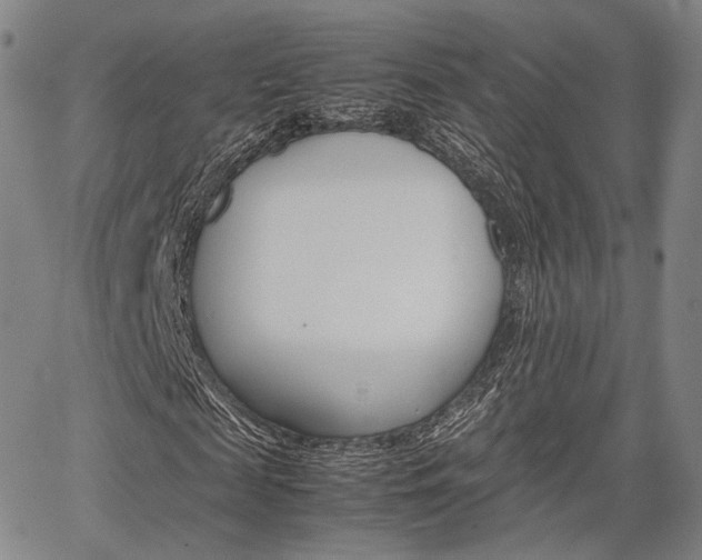 X0000067850817200604130917
