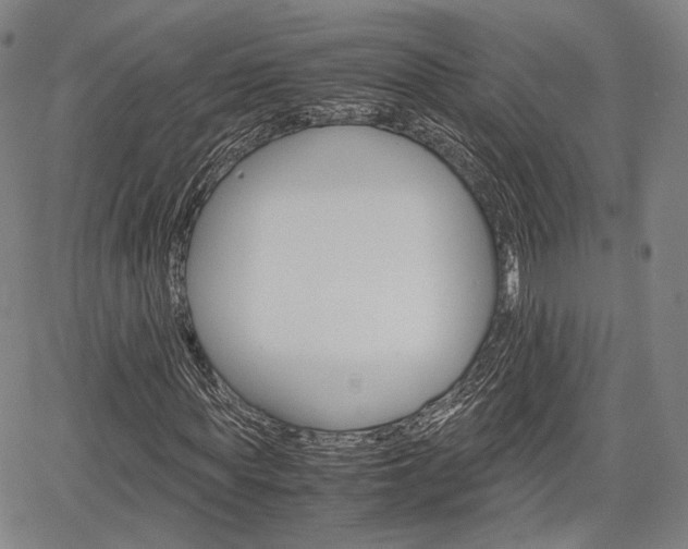 X0000067850819200604130917