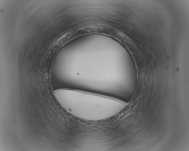 X0000067850822200604130917