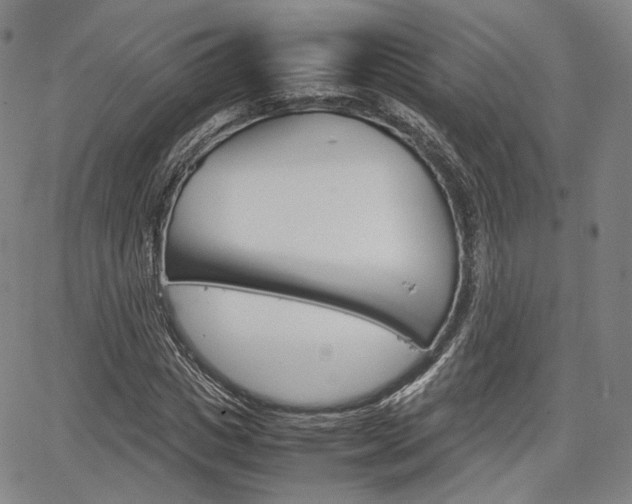 X0000067850825200604130917