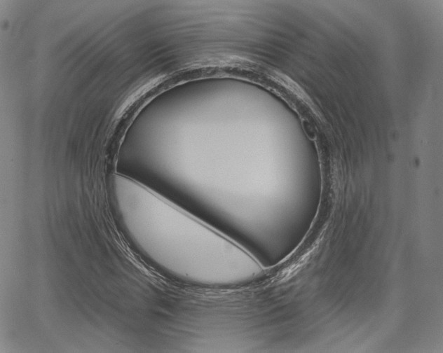 X0000067850826200604130917