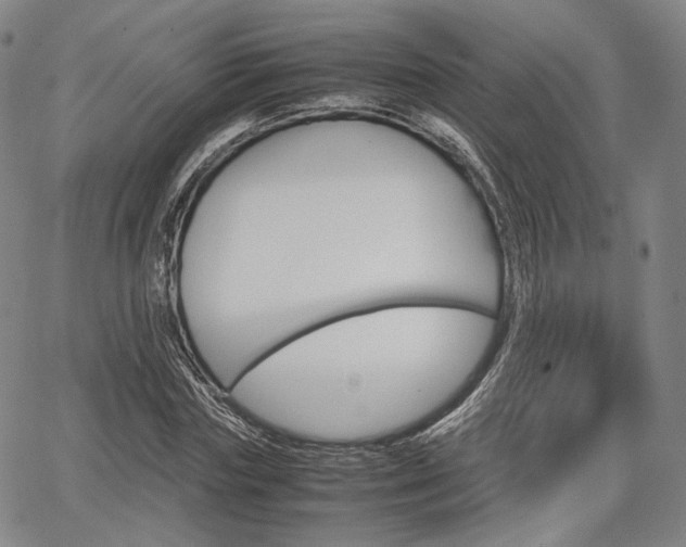 X0000067850827200604130917
