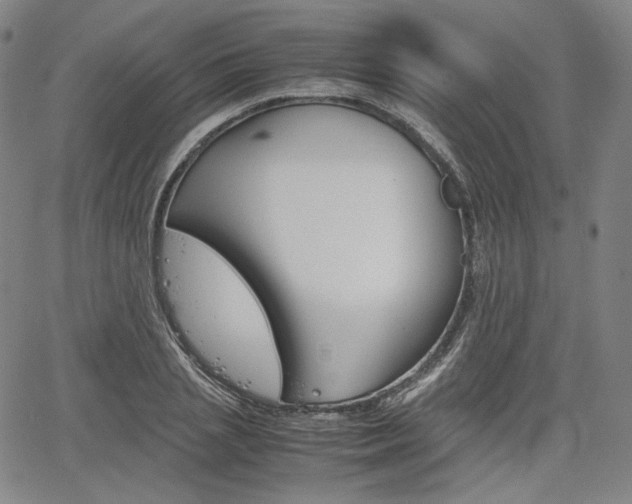 X0000067850837200604130917
