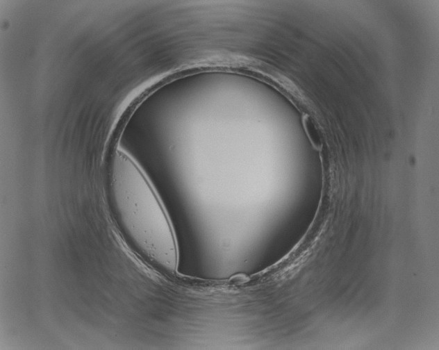 X0000067850838200604130917