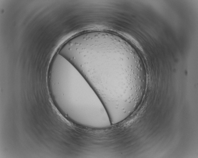X0000067850839200604130917