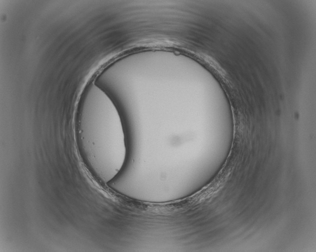 X0000067850840200604130917