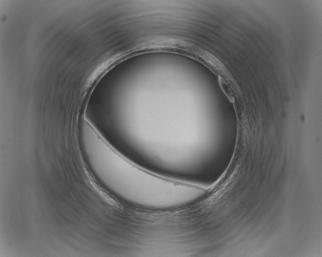 X0000067850842200604130917