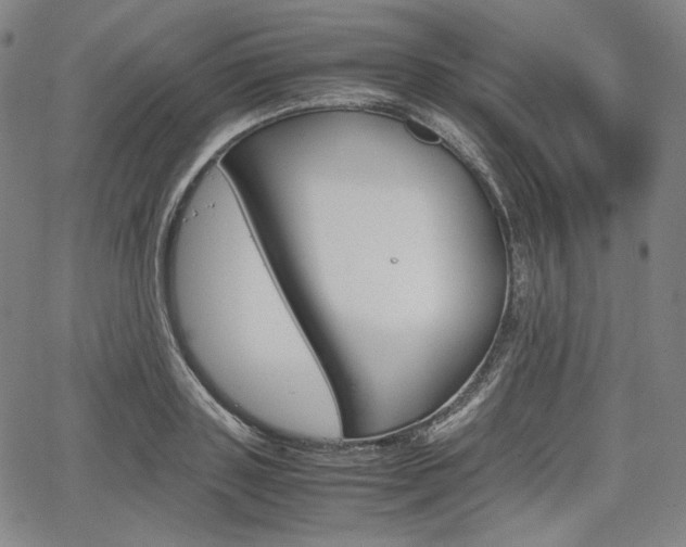 X0000067850843200604130917
