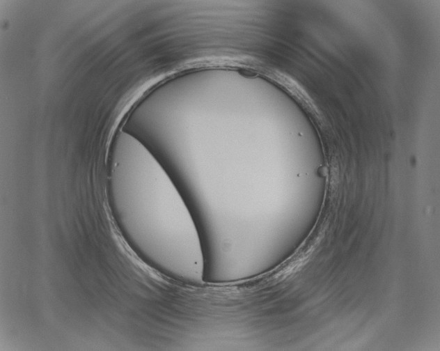 X0000067850844200604130917