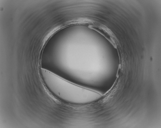 X0000067850850200604130917