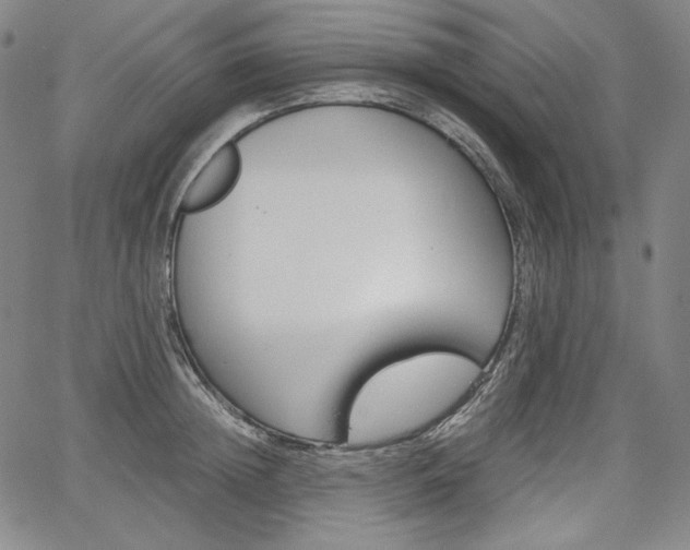 X0000067850852200604130917