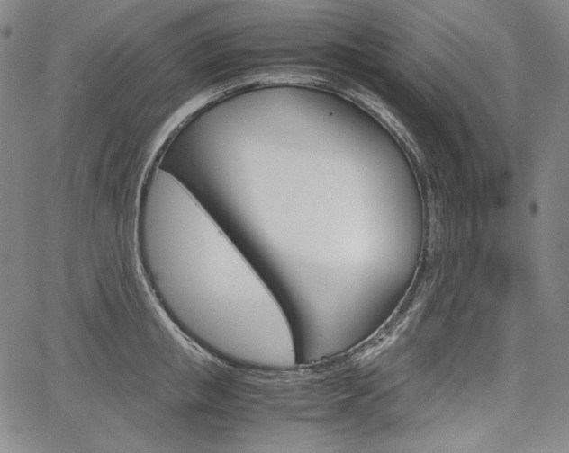 X0000067850853200604130917