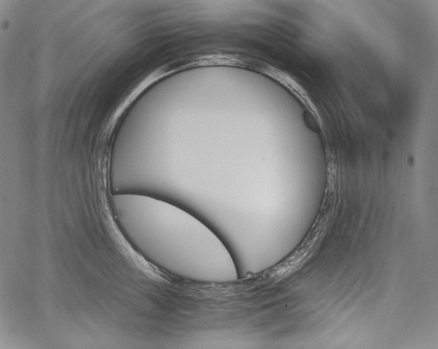 X0000067850859200604130917