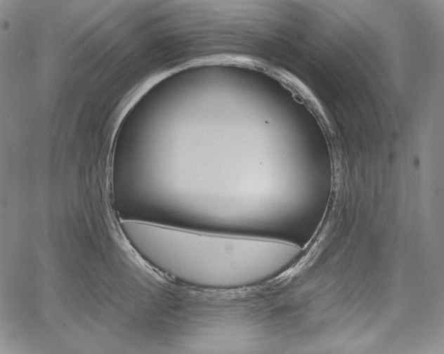 X0000067850860200604130917