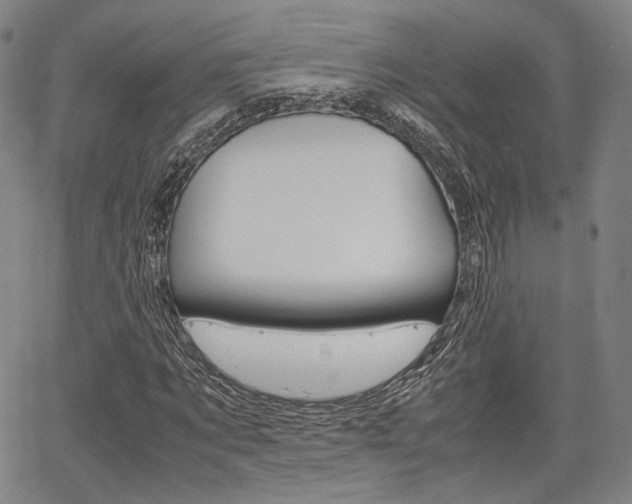 X0000067850869200604130917