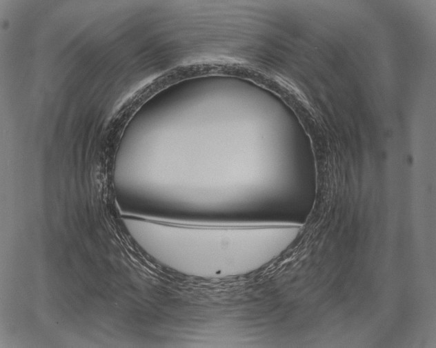 X0000067850872200604130917