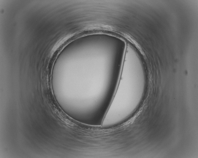 X0000067850877200604130917