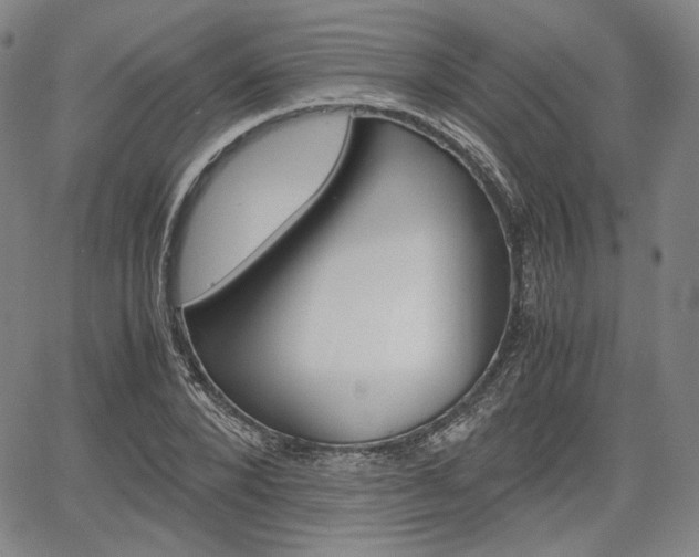 X0000067850880200604130916