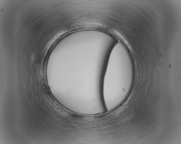 X0000067850883200604130916