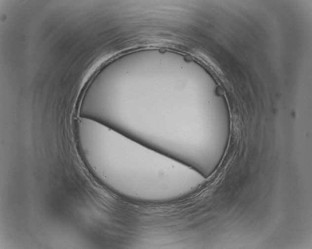 X0000067850891200604130916
