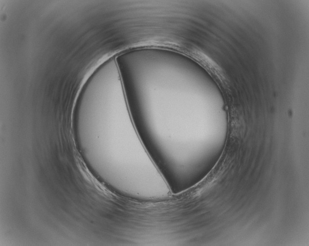 X0000067850892200604130916