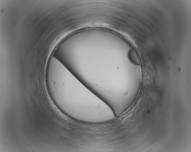 X0000067850895200604130916